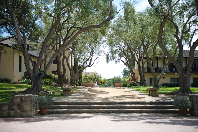 Leadership & Trustees - Cate School